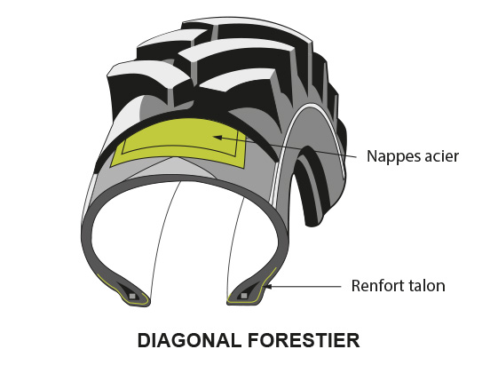 ima carcasse forestier